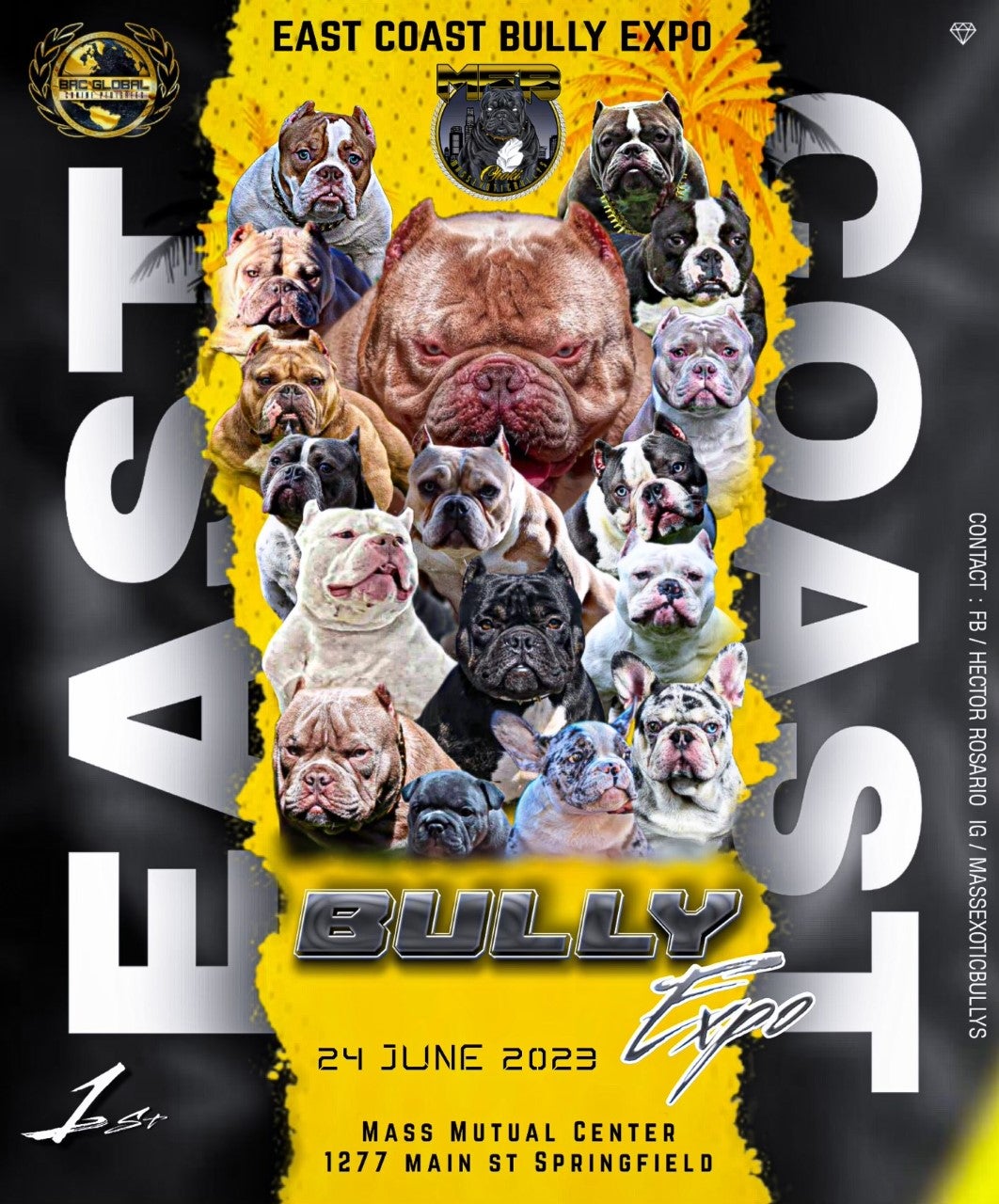 Bully Breed Expo, NY, PA, NC