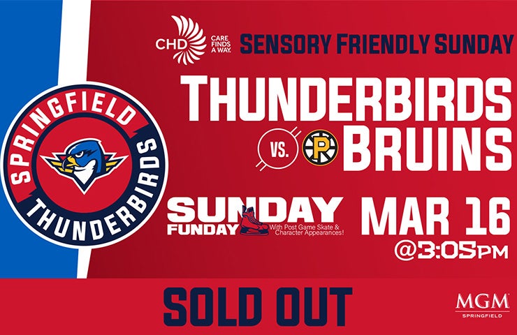 More Info for Springfield Thunderbirds vs. Providence Bruins