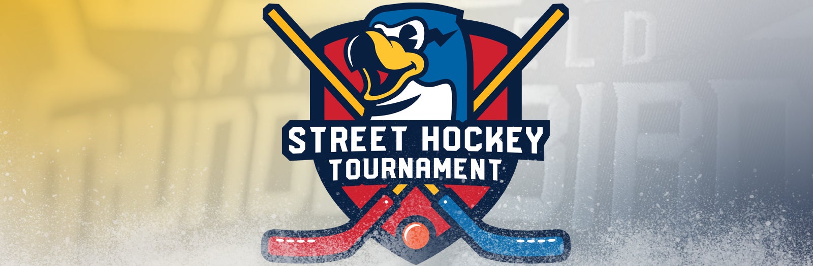 Thunderbirds Street Hockey Tournament